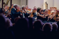 Sekcja skrzypiec Orkiestry Symfonicznej widoczna zza głów melomanów zgromadzonych na widowni